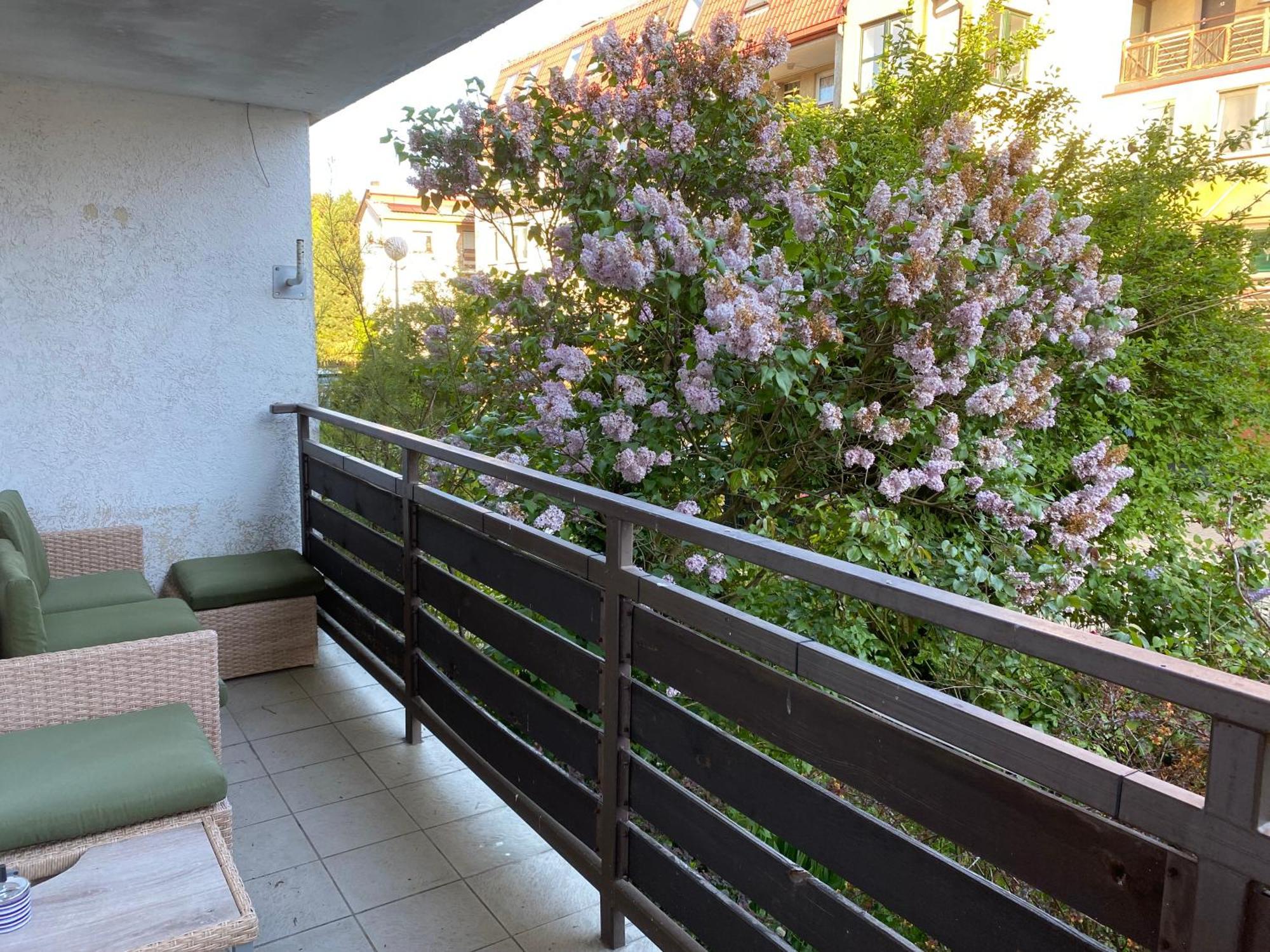 Lesne Apartamenty - Apartament Szary Hel Buitenkant foto